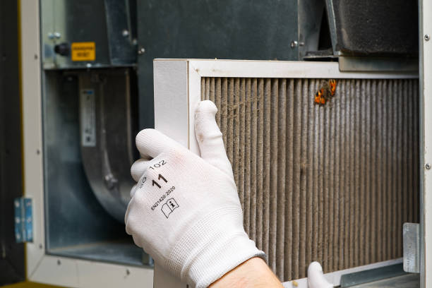 Best Emergency Air Duct Cleaning  in Princeton, FL