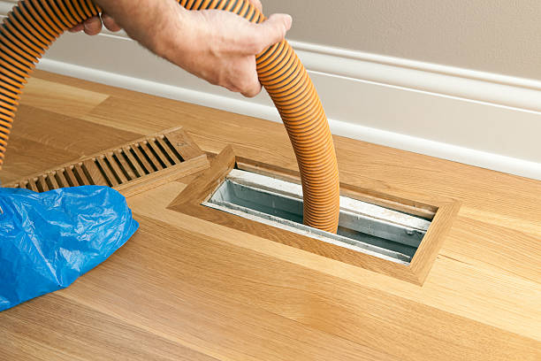 Best Air Duct Cleaning Company Near Me  in Princeton, FL