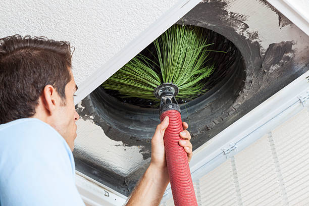 Best HVAC System Cleaning  in Princeton, FL