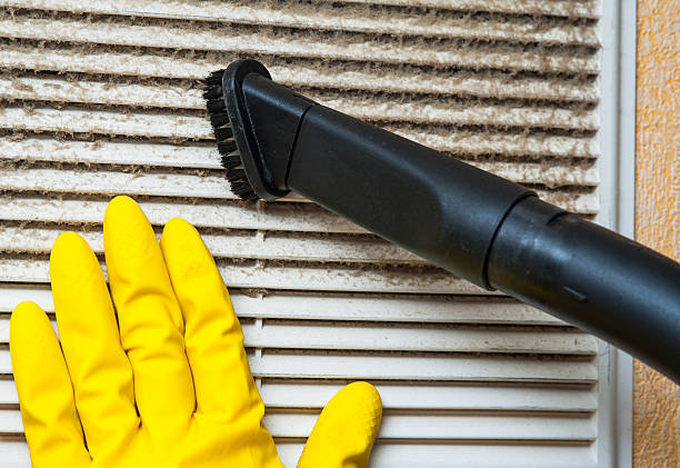 Best Dryer Vent Cleaning Services  in Princeton, FL